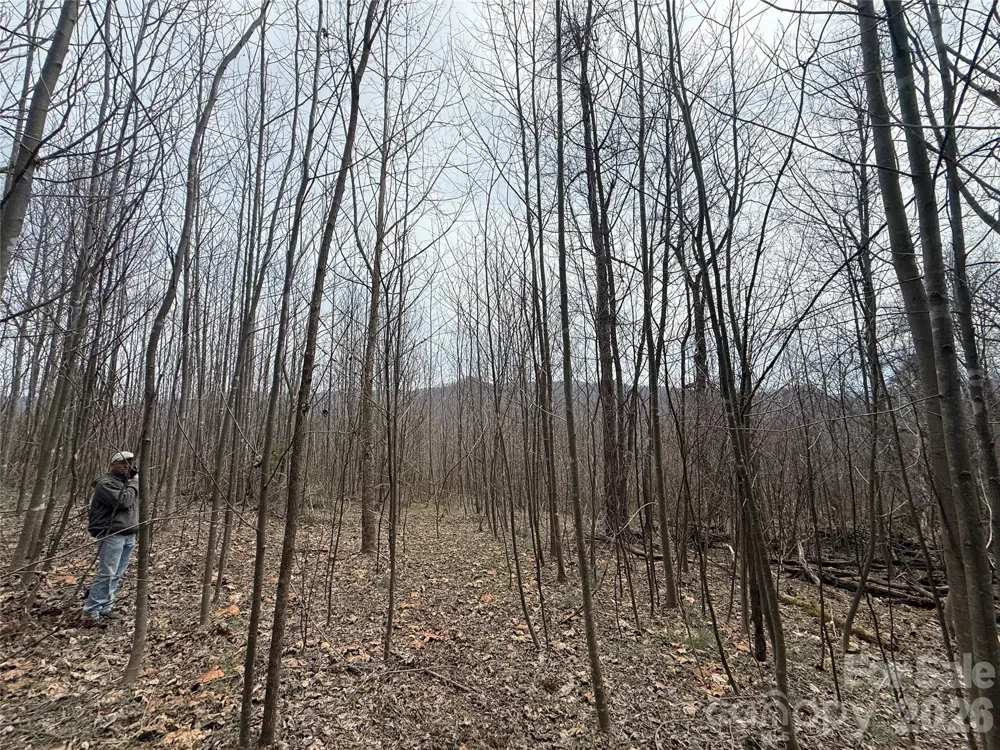 000 Caldwell Mountain Road Hot Springs, NC 28743