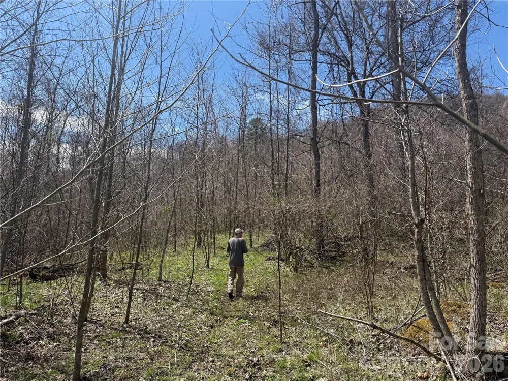 000 Caldwell Mountain Road Hot Springs, NC 28743