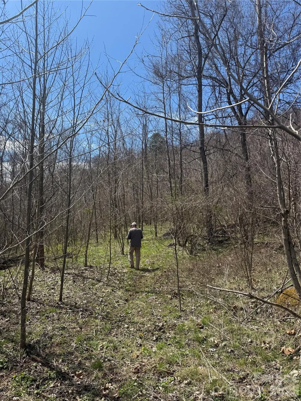 000 Caldwell Mountain Road Hot Springs, NC 28743