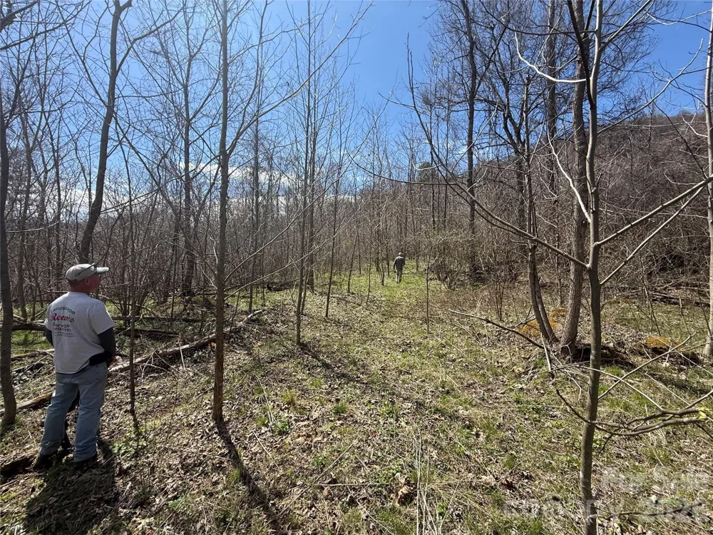 000 Caldwell Mountain Road Hot Springs, NC 28743