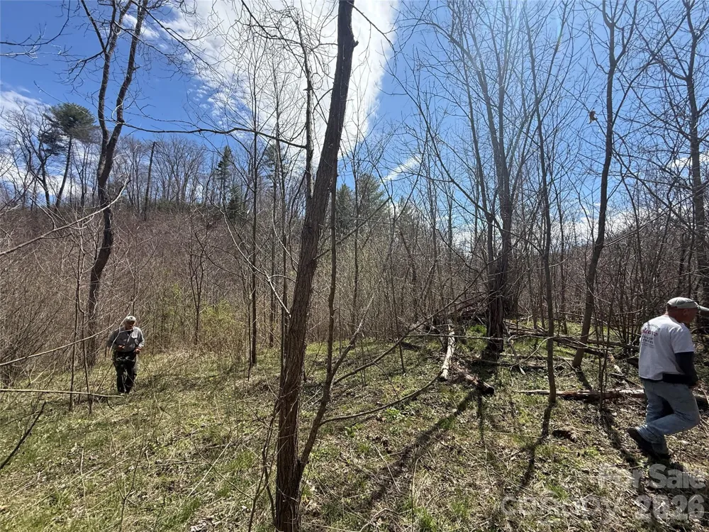 000 Caldwell Mountain Road Hot Springs, NC 28743