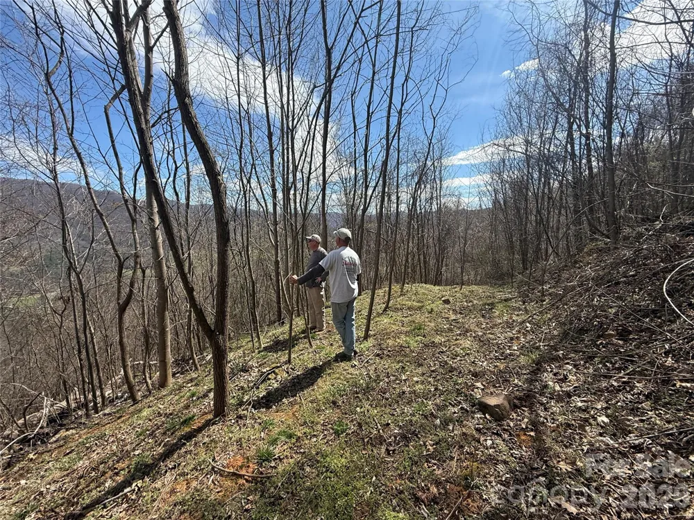000 Caldwell Mountain Road Hot Springs, NC 28743