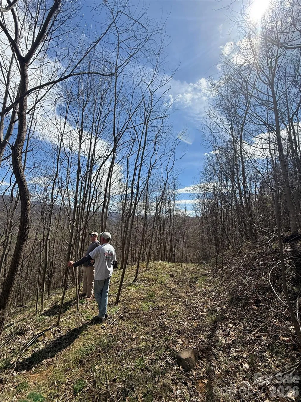 000 Caldwell Mountain Road Hot Springs, NC 28743