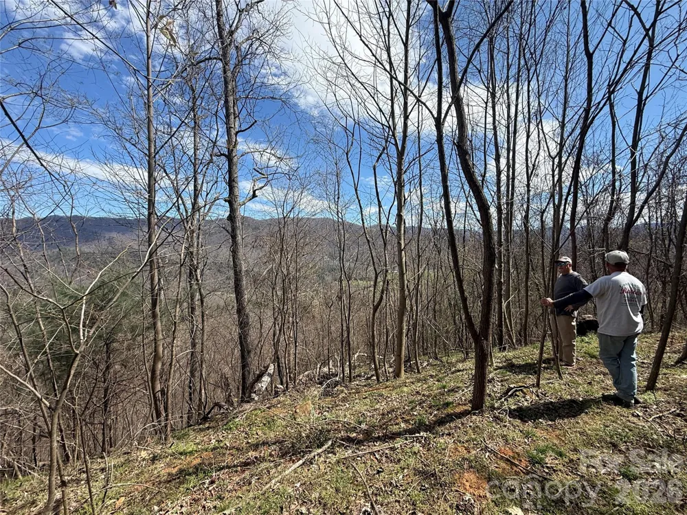 000 Caldwell Mountain Road Hot Springs, NC 28743
