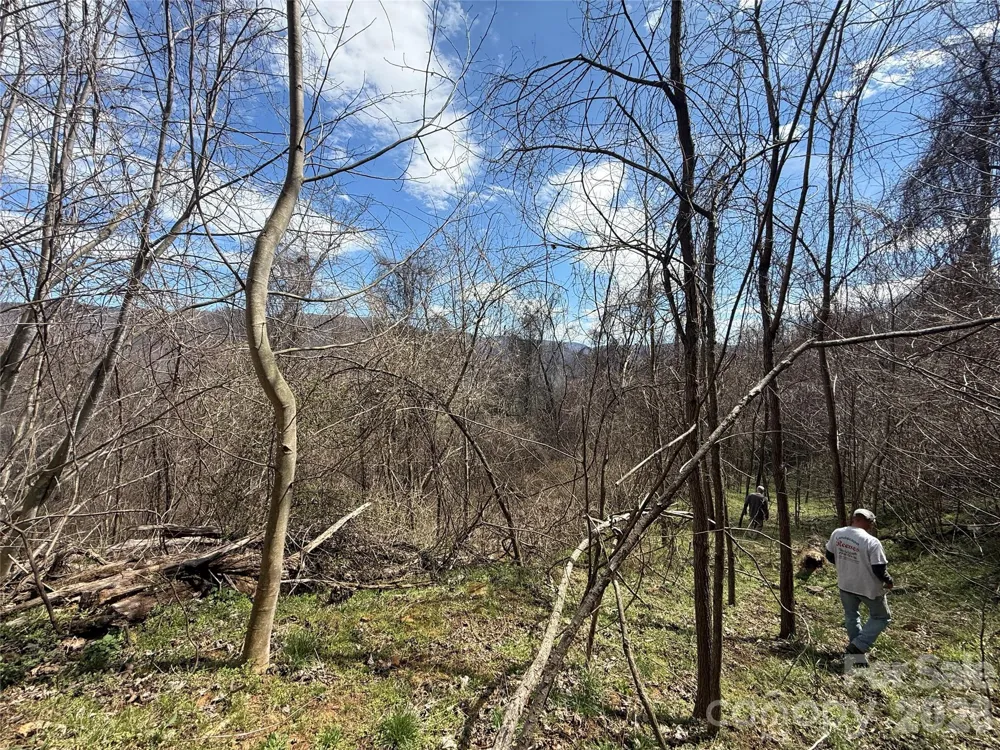 000 Caldwell Mountain Road Hot Springs, NC 28743