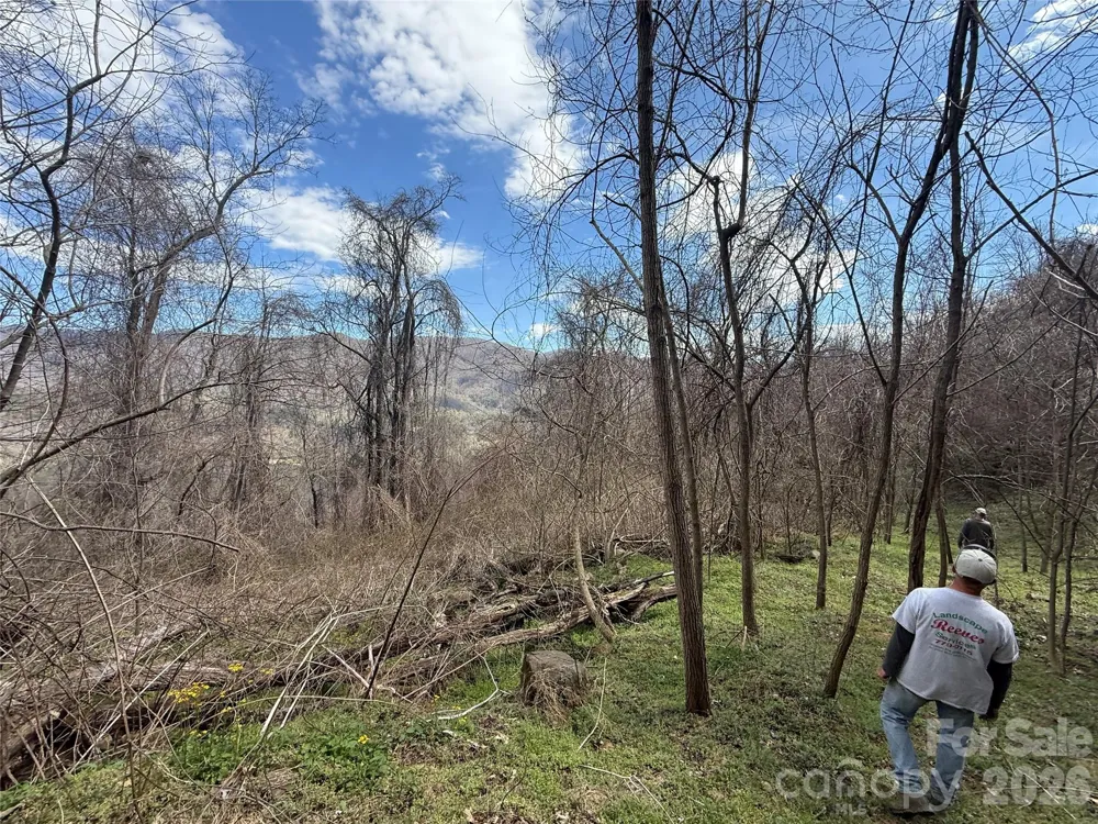 000 Caldwell Mountain Road Hot Springs, NC 28743
