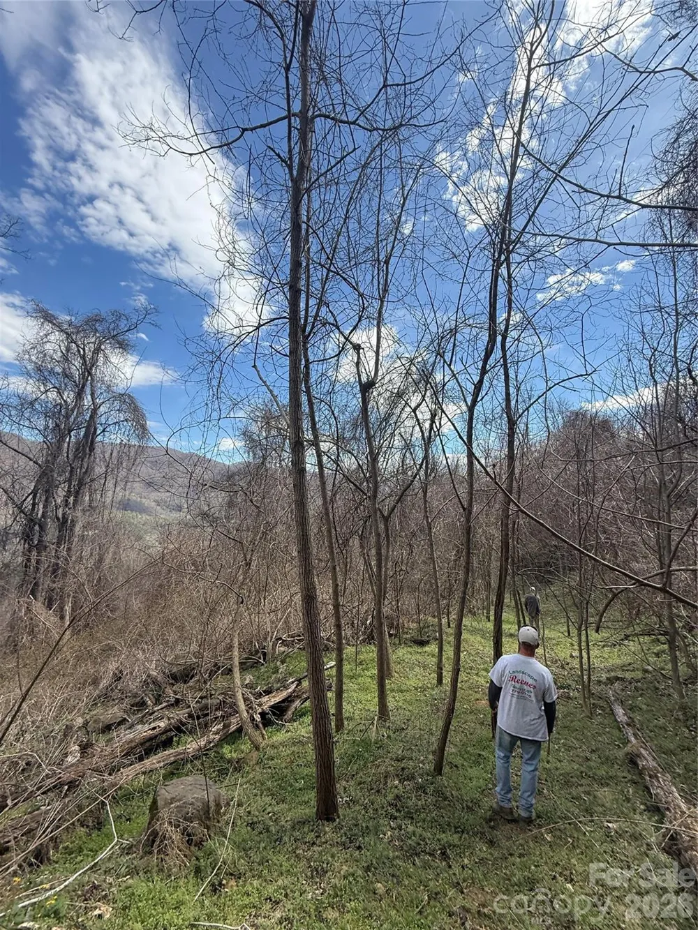 000 Caldwell Mountain Road Hot Springs, NC 28743