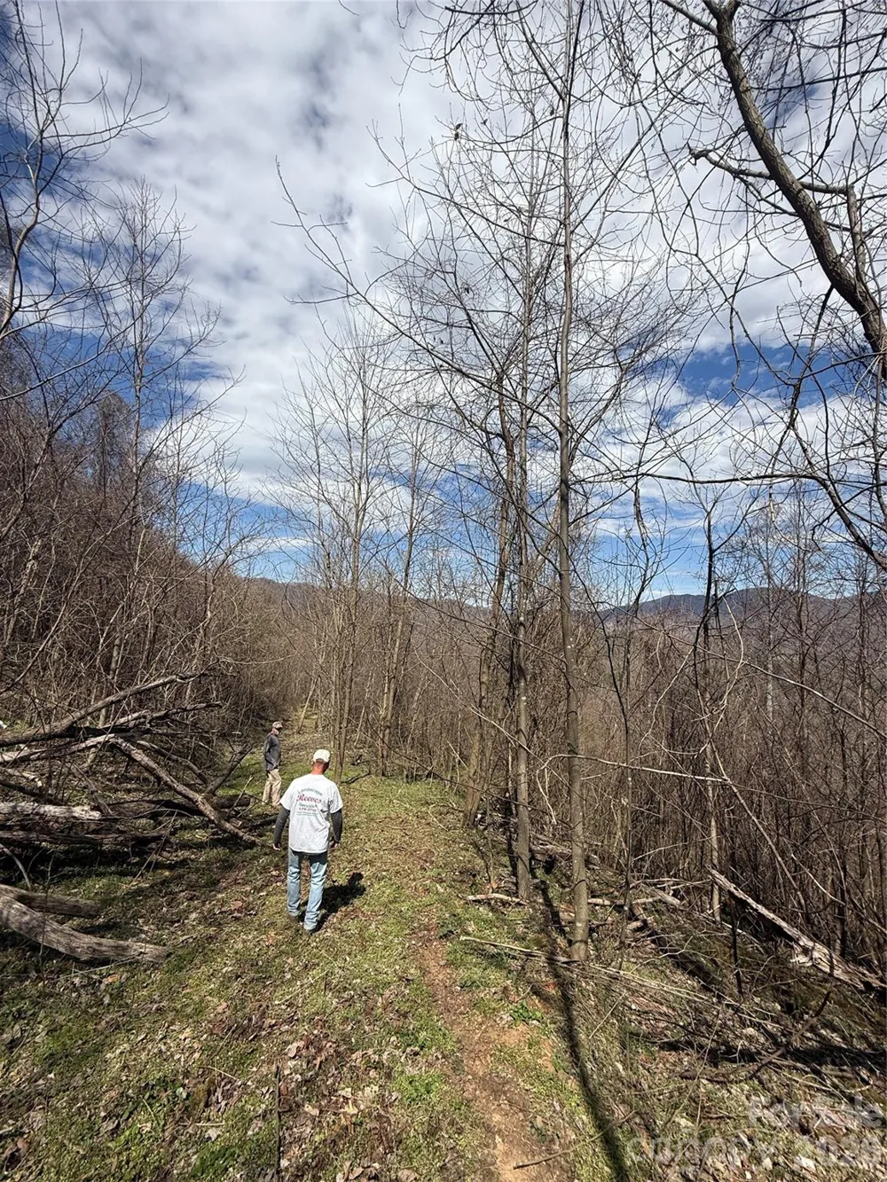 000 Caldwell Mountain Road Hot Springs, NC 28743