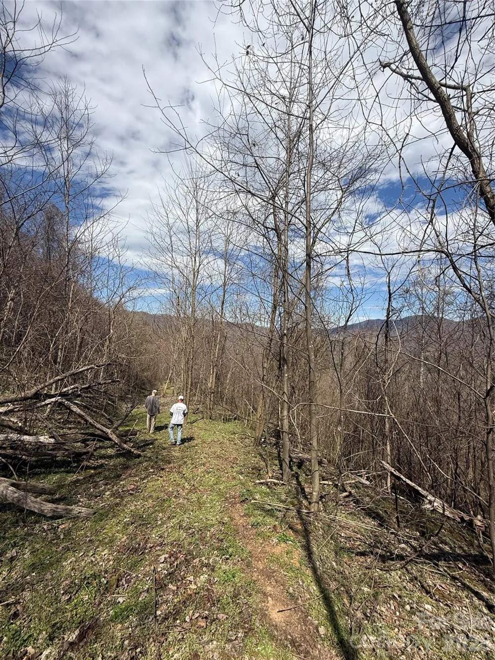 000 Caldwell Mountain Road Hot Springs, NC 28743