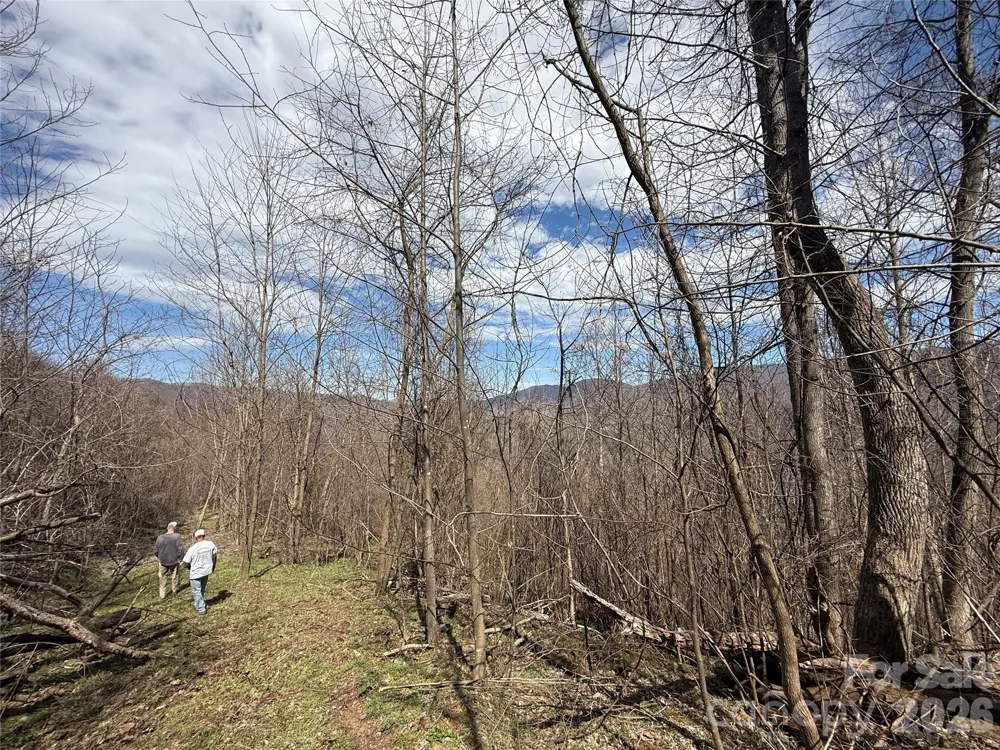 000 Caldwell Mountain Road Hot Springs, NC 28743