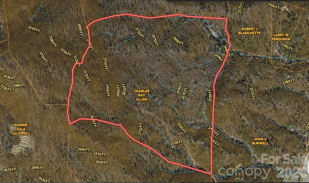 000 Caldwell Mountain Road Hot Springs, NC 28743