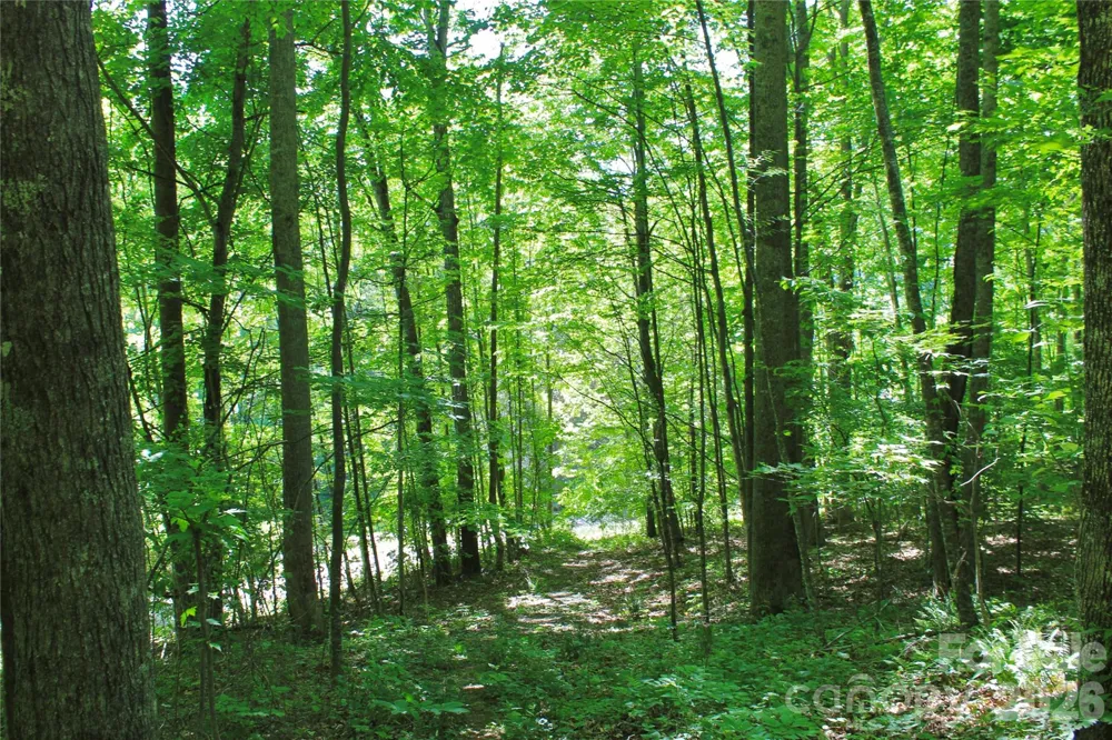 00 Wildwood Drive Burnsville, NC 28714