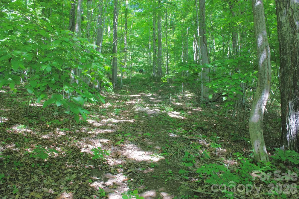 00 Wildwood Drive Burnsville, NC 28714