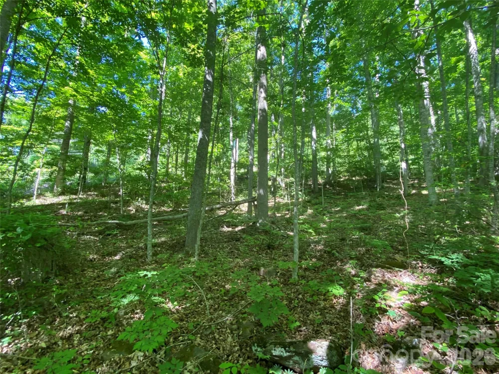 00 Wildwood Drive Burnsville, NC 28714