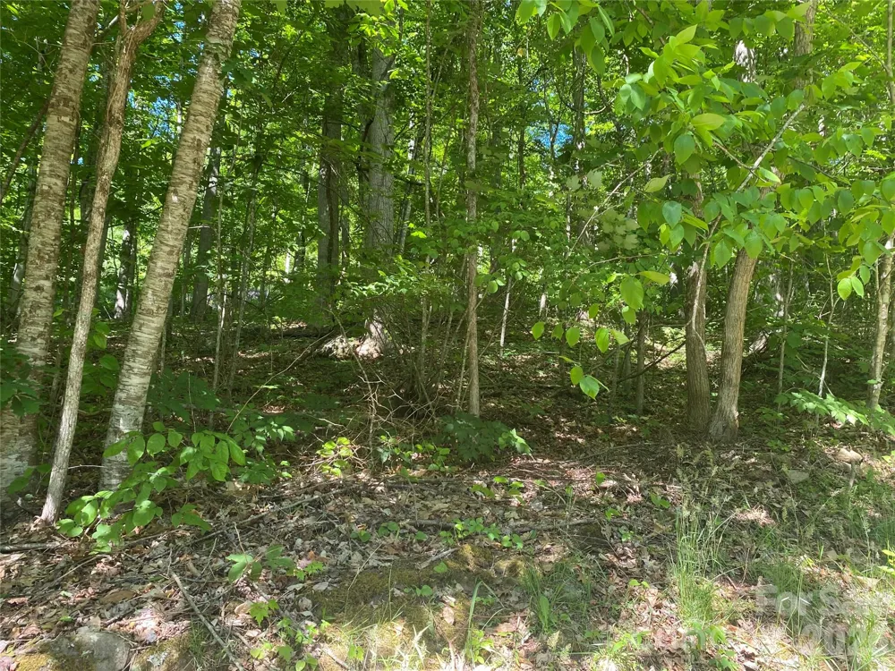 00 Wildwood Drive Burnsville, NC 28714
