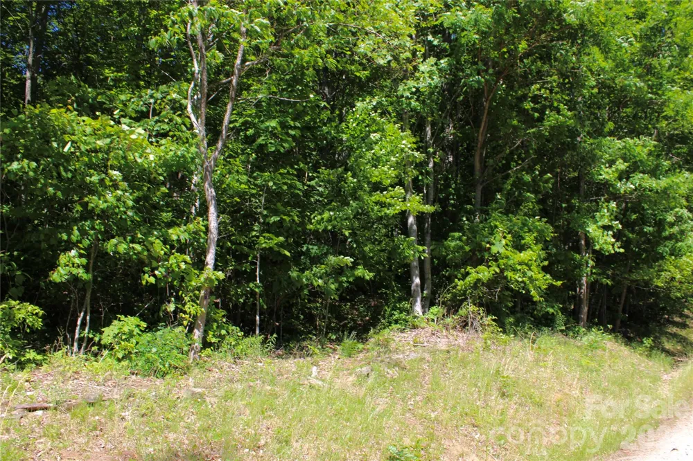 00 Wildwood Drive Burnsville, NC 28714