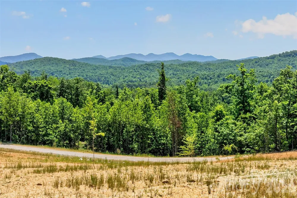 272 Randolph Drive Marion, NC 28752
