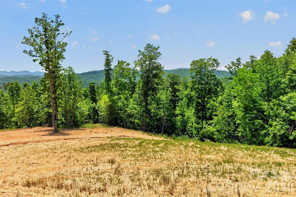 272 Randolph Drive Marion, NC 28752