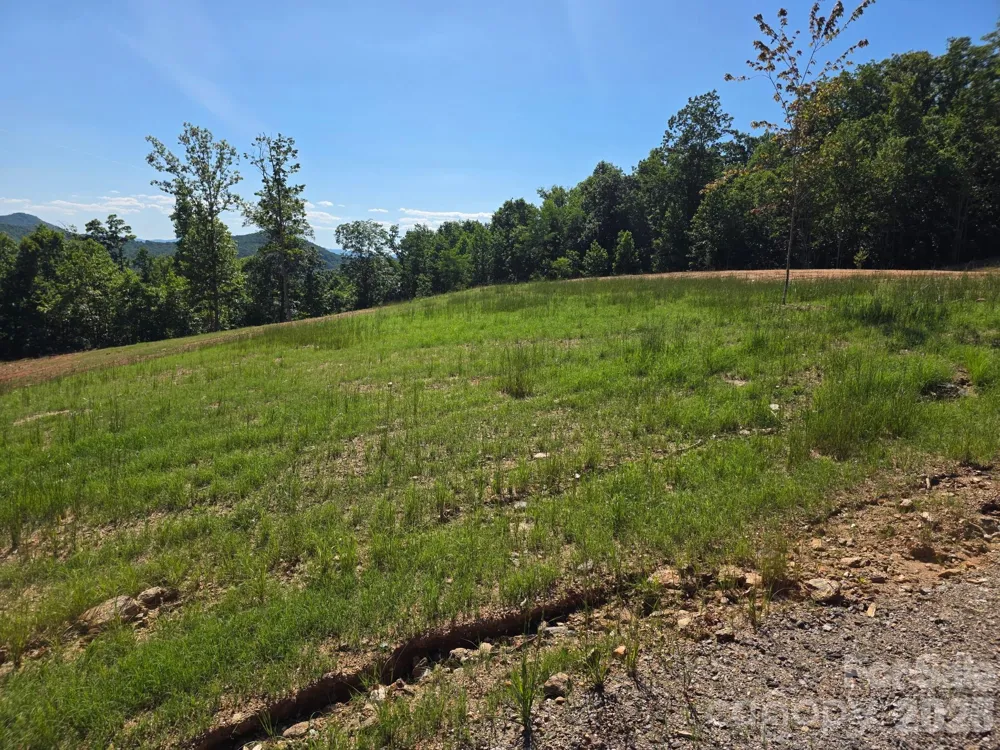 272 Randolph Drive Marion, NC 28752