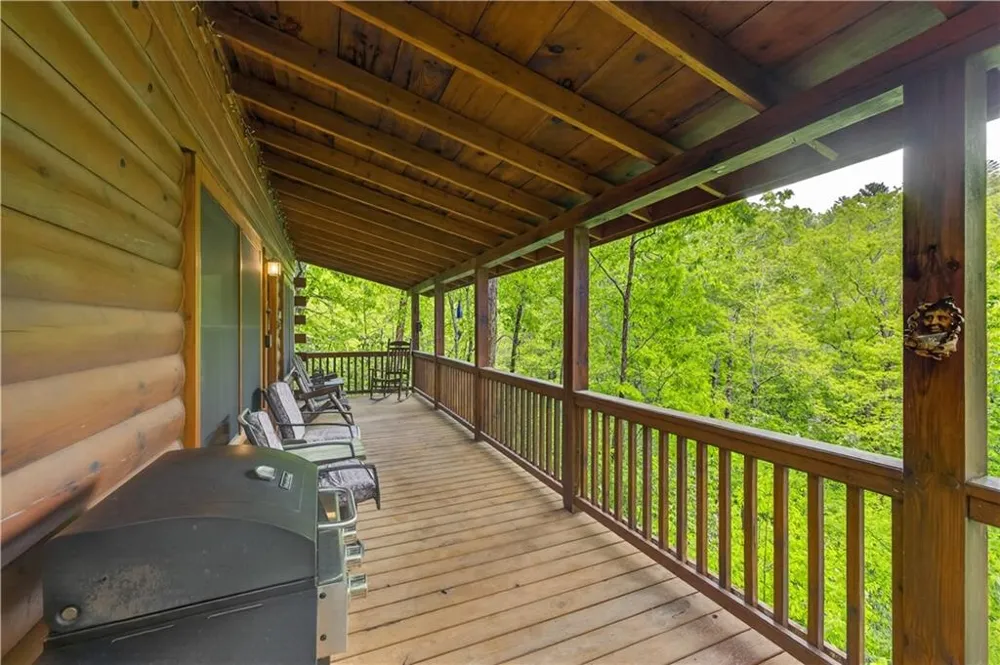 203 Mountain View Drive Cherry Log, GA 30522