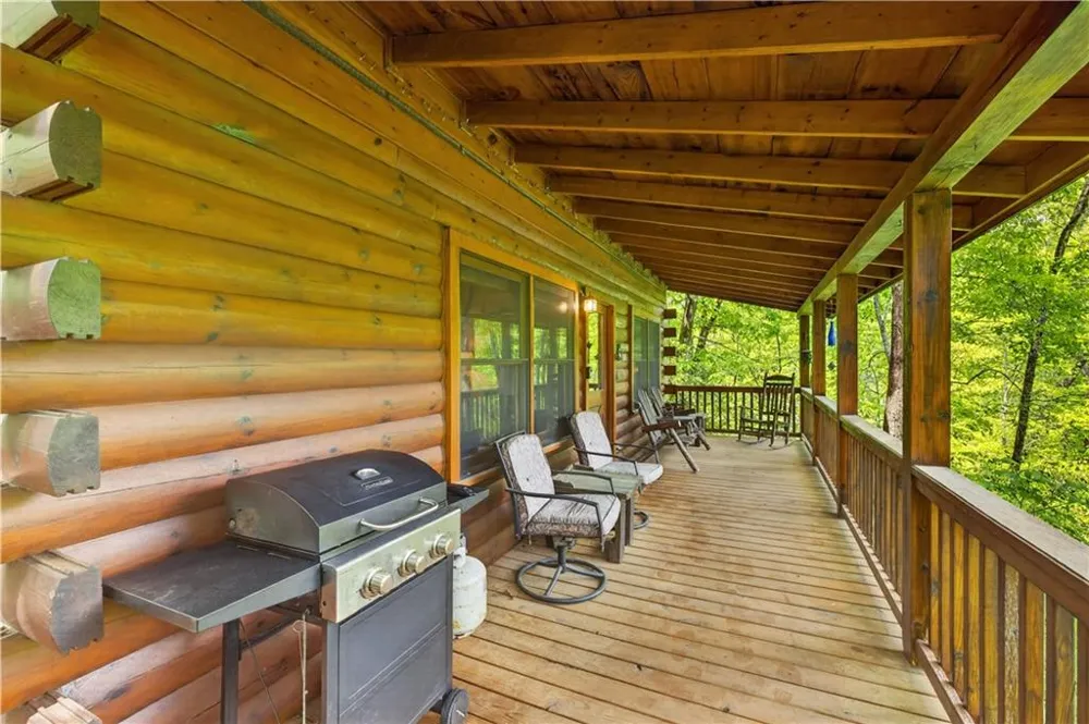 203 Mountain View Drive Cherry Log, GA 30522
