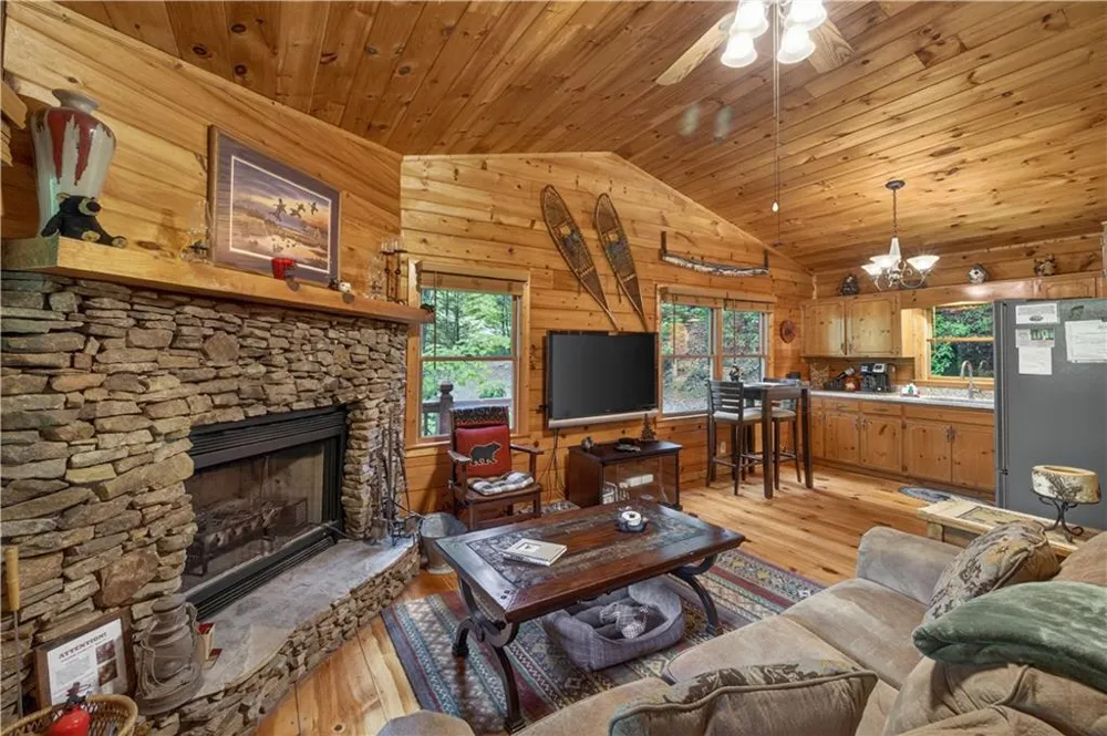 203 Mountain View Drive Cherry Log, GA 30522