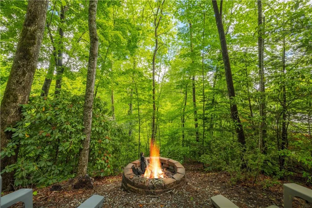 203 Mountain View Drive Cherry Log, GA 30522