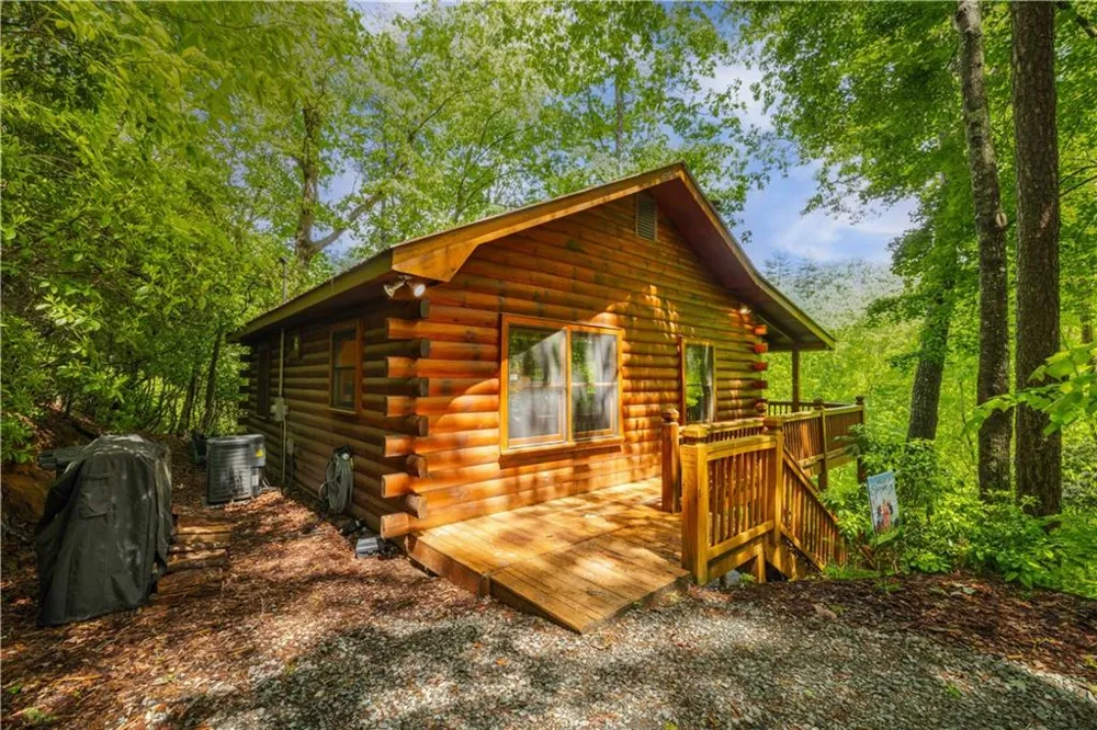 203 Mountain View Drive Cherry Log, GA 30522
