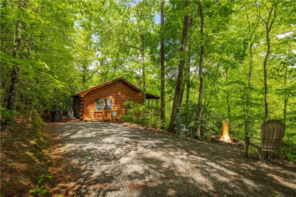 203 Mountain View Drive Cherry Log, GA 30522
