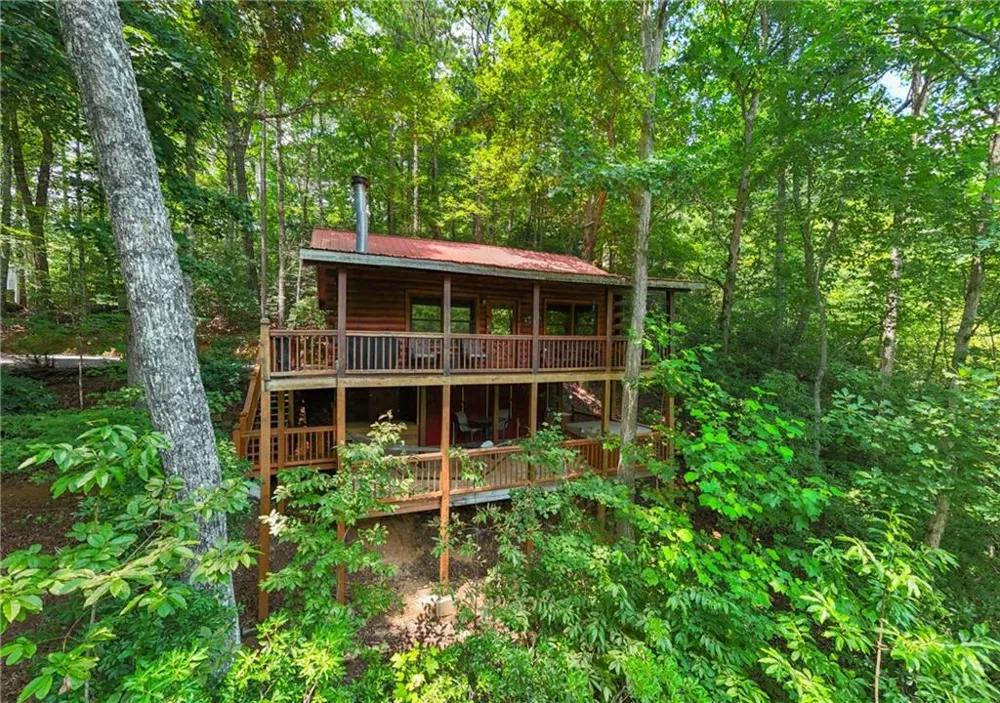 203 Mountain View Drive Cherry Log, GA 30522