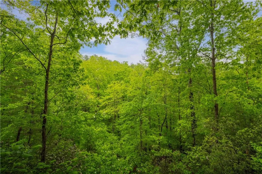 203 Mountain View Drive Cherry Log, GA 30522