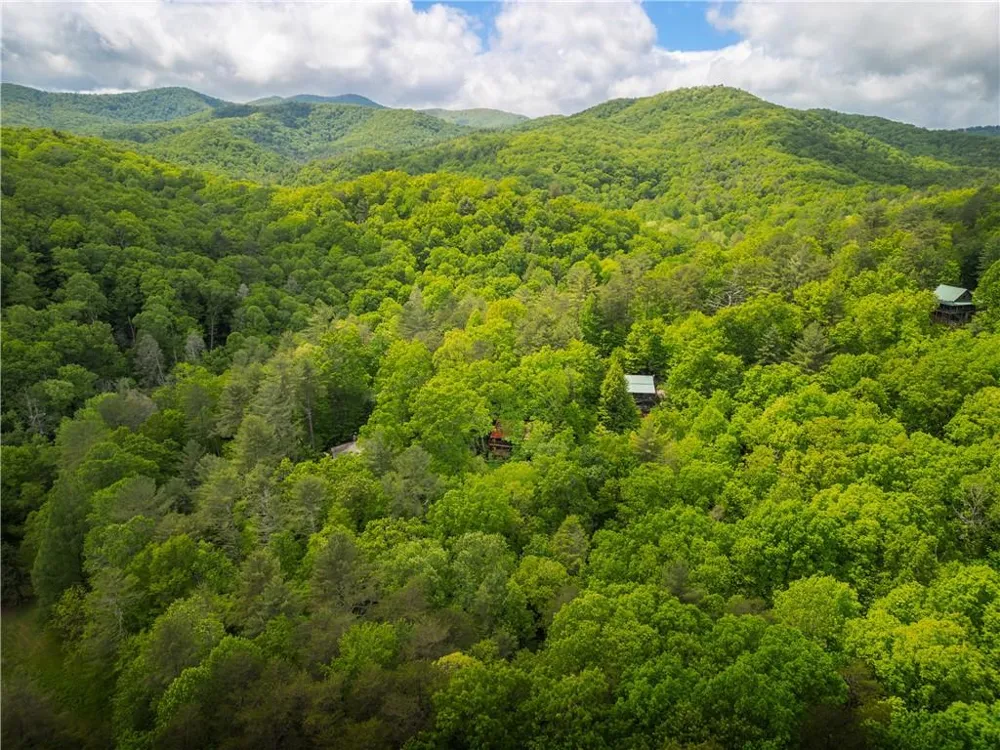 203 Mountain View Drive Cherry Log, GA 30522
