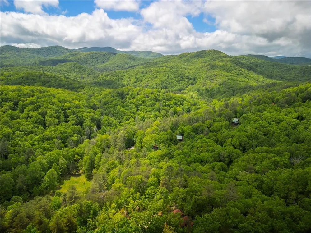 203 Mountain View Drive Cherry Log, GA 30522