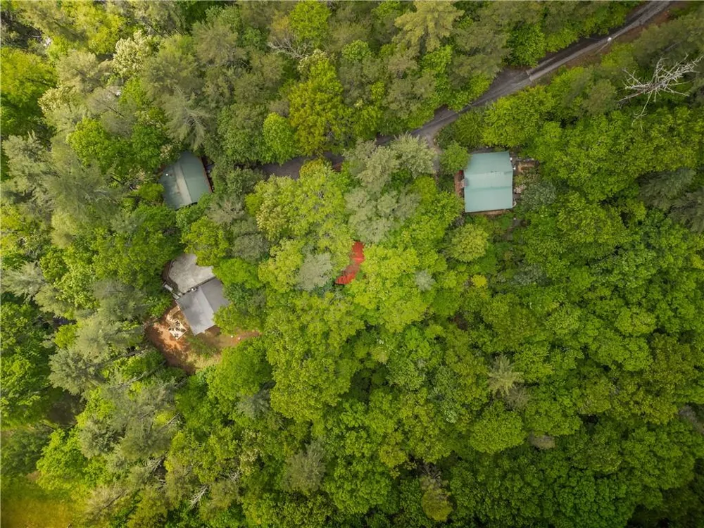 203 Mountain View Drive Cherry Log, GA 30522
