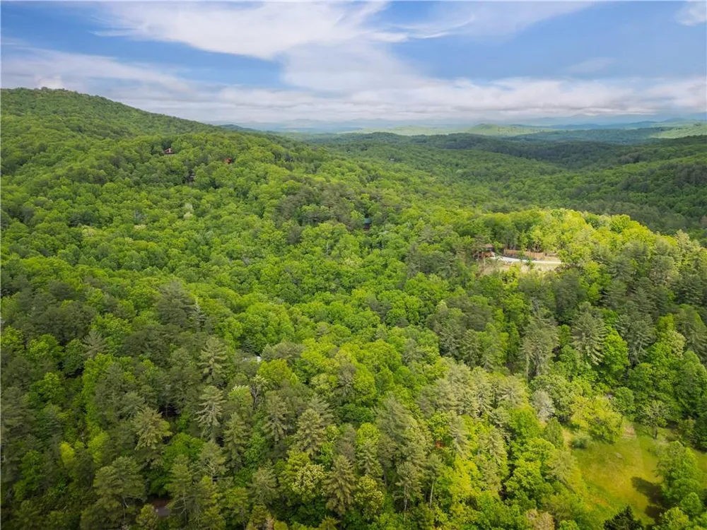 203 Mountain View Drive Cherry Log, GA 30522
