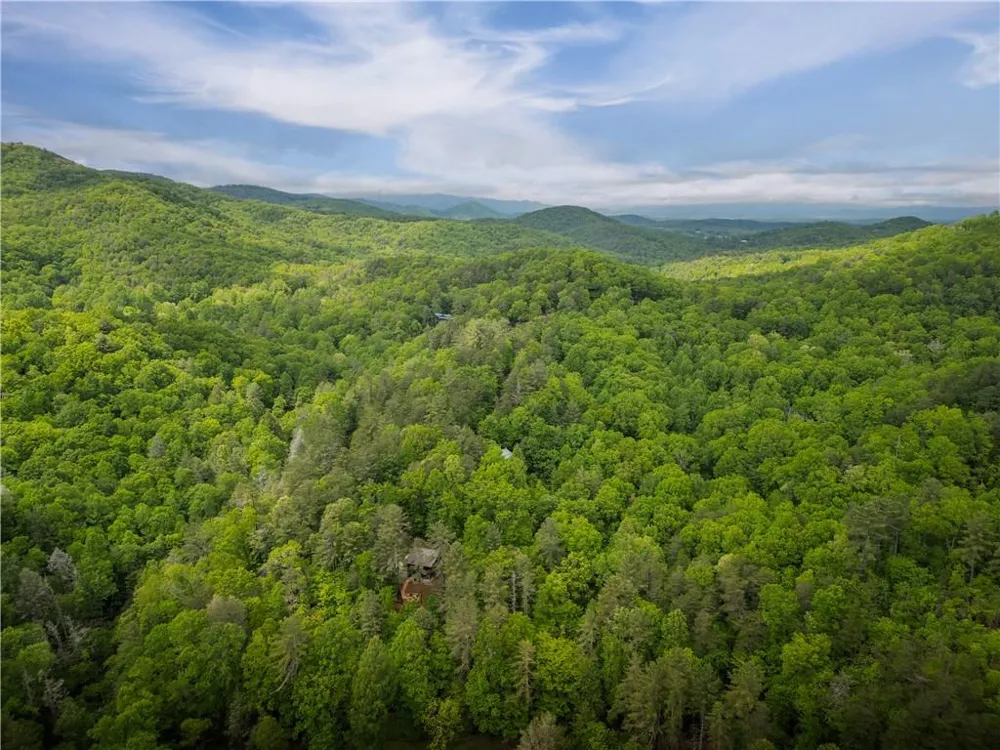 203 Mountain View Drive Cherry Log, GA 30522