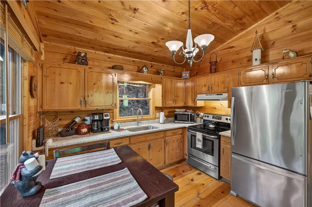 203 Mountain View Drive Cherry Log, GA 30522
