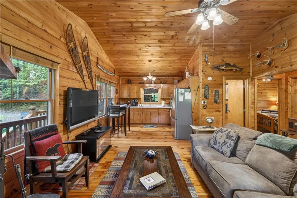 203 Mountain View Drive Cherry Log, GA 30522