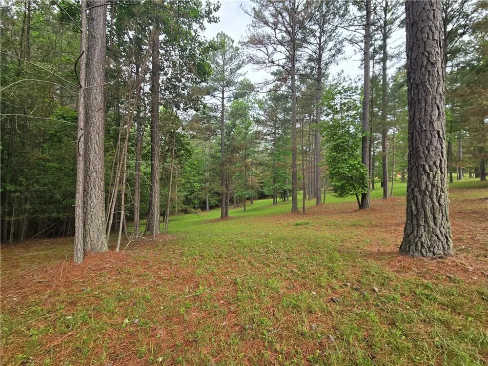 0 Sweetwater Lane Blairsville, GA 30512
