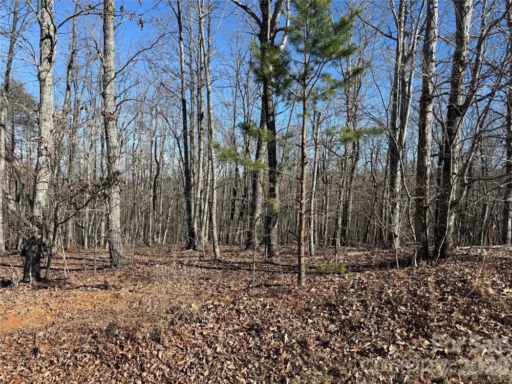108 Woodgate Trail #94 Nebo, NC 28761