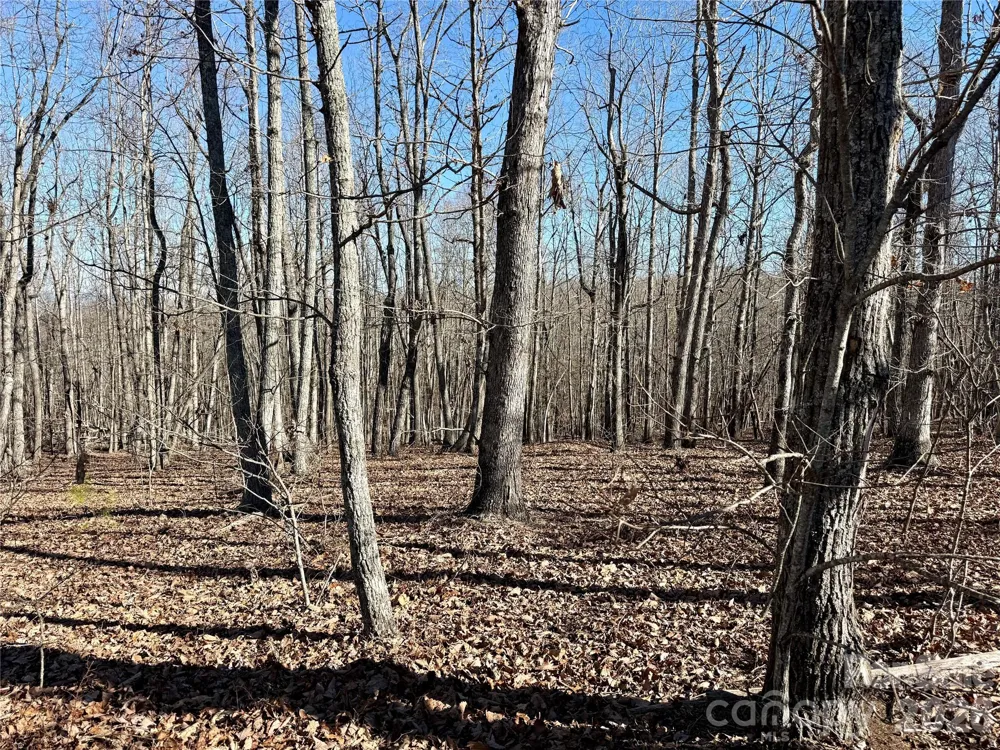 108 Woodgate Trail #94 Nebo, NC 28761