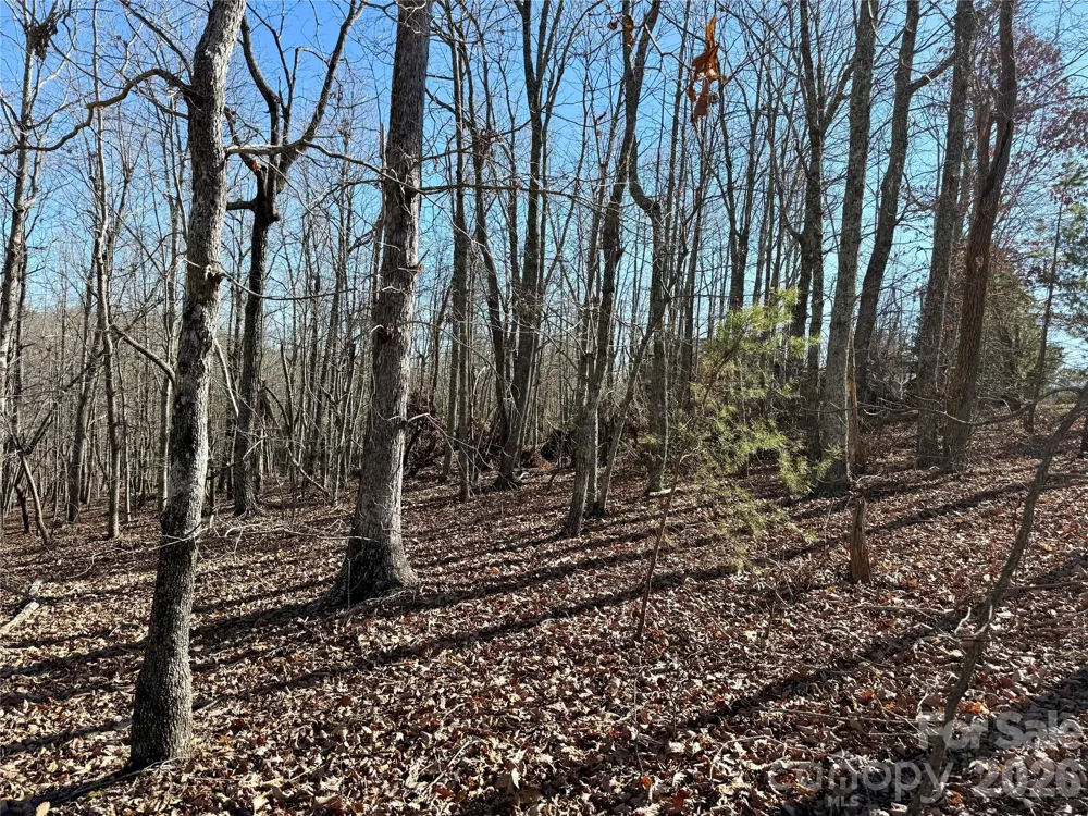 108 Woodgate Trail #94 Nebo, NC 28761