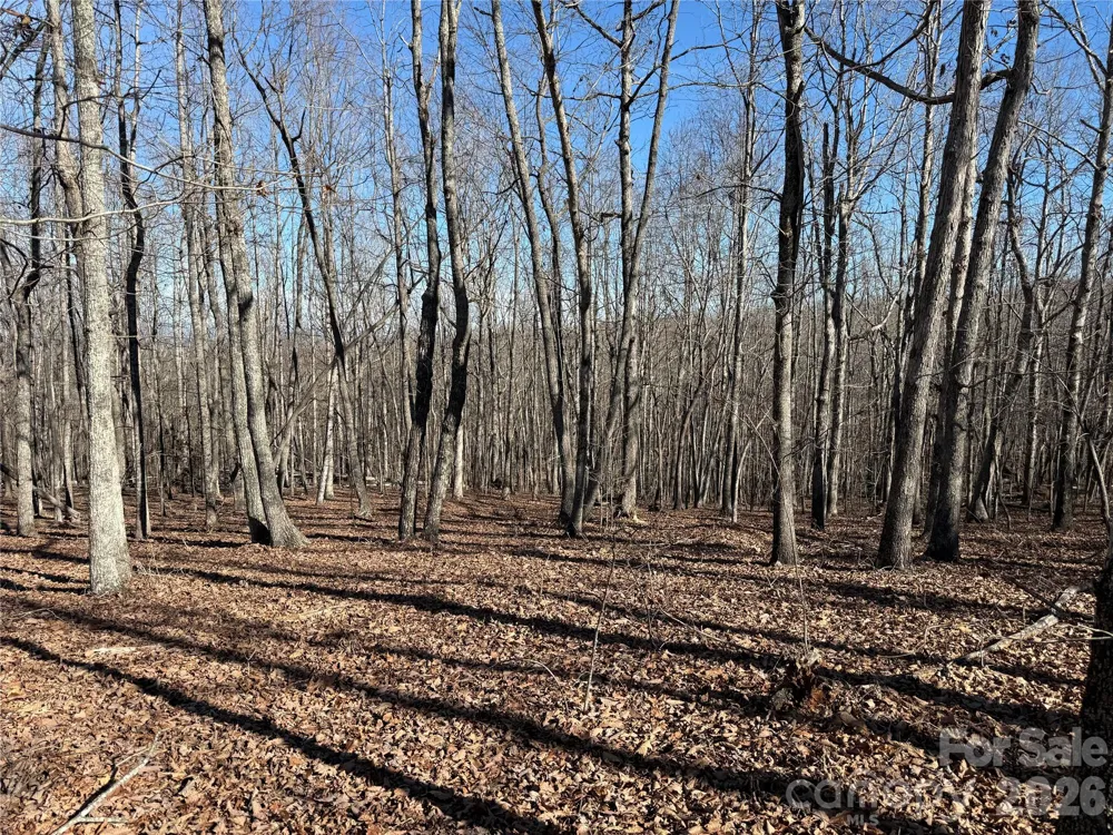 108 Woodgate Trail #94 Nebo, NC 28761