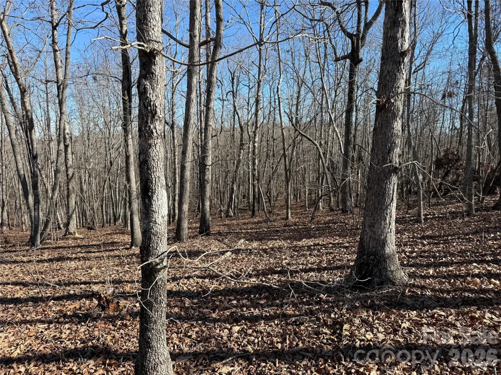108 Woodgate Trail #94 Nebo, NC 28761