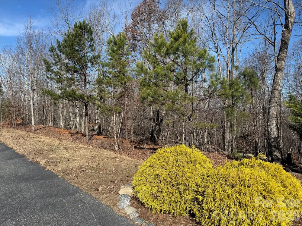 108 Woodgate Trail #94 Nebo, NC 28761