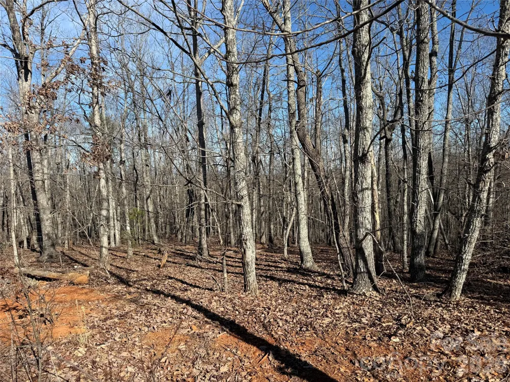 108 Woodgate Trail #94 Nebo, NC 28761