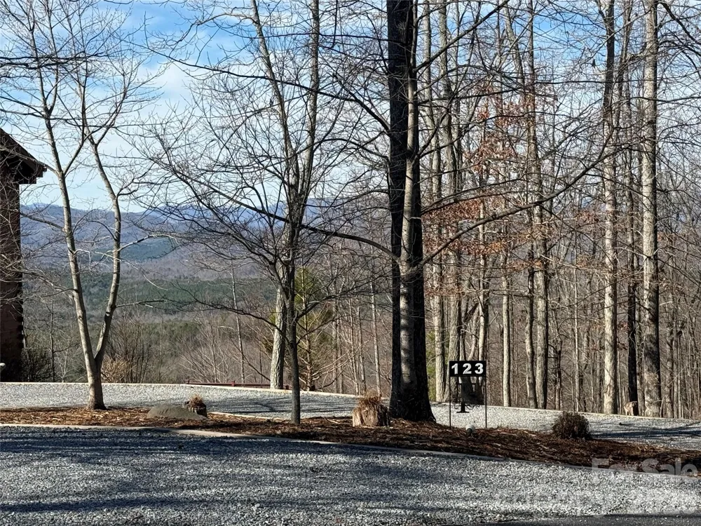 108 Woodgate Trail #94 Nebo, NC 28761