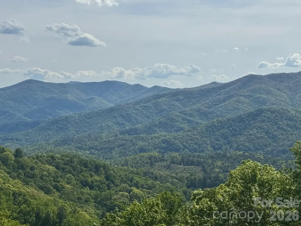 686 Hyacinth Drive Clyde, NC 28721