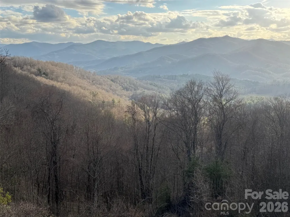 686 Hyacinth Drive Clyde, NC 28721