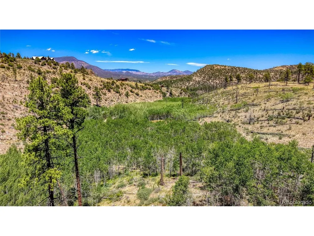 302 Rickel Circle South Fork, CO 81154